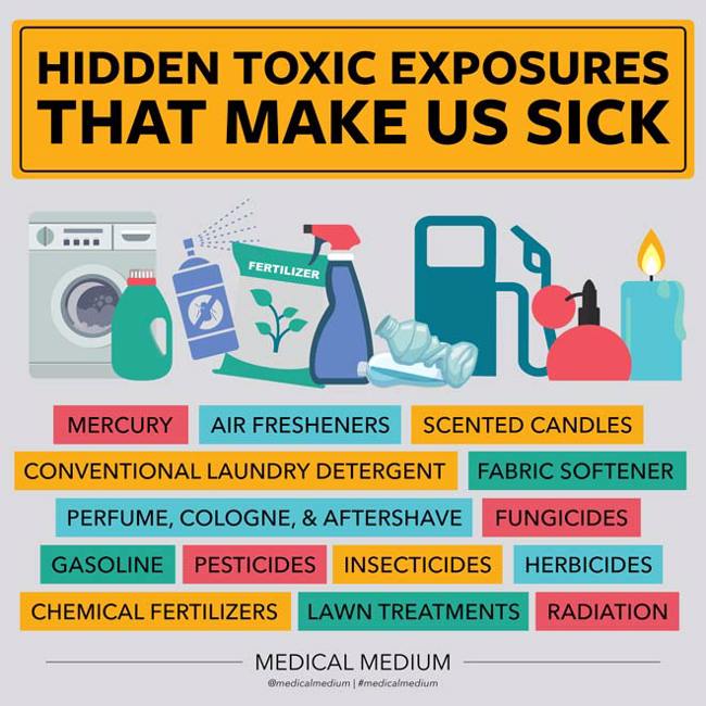 Hidden Toxic Exposures That Make Us Sick 