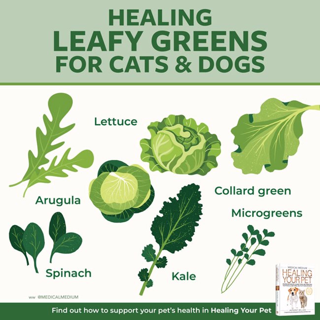 Leafy Greens For Cats And Dogs