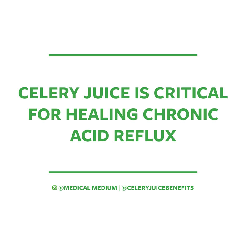 Celery juice is critical for healing chronic acid reflux