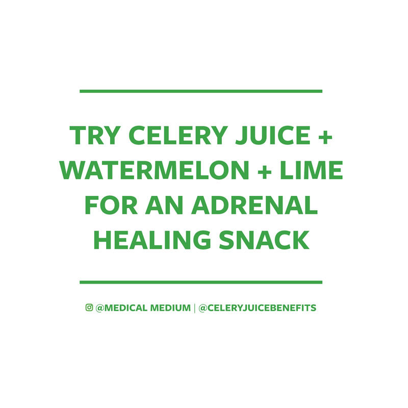 Try celery juice + watermelon + lime for an adrenal healing snack