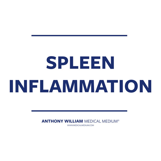 Spleen Inflamation