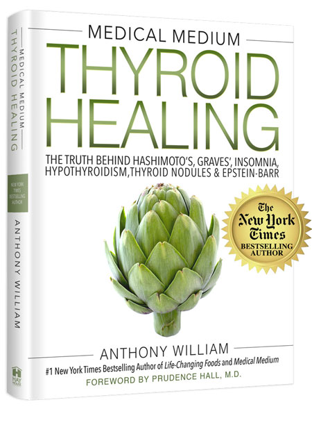 Thyroid Healing Book Excerpts
