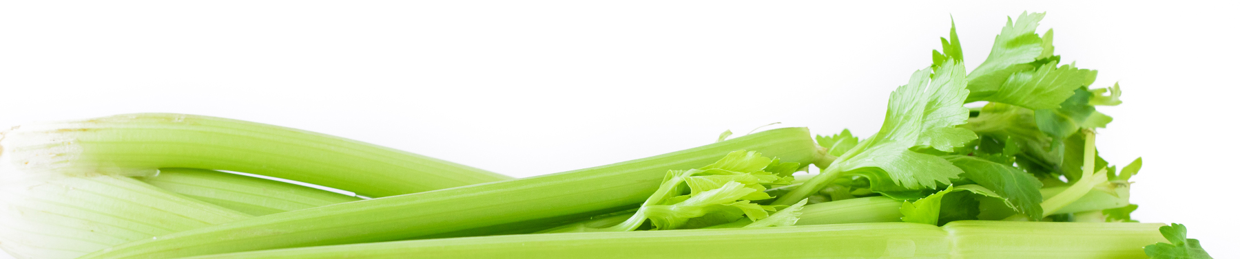 Celery Juice Movement, Medical Medium
