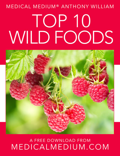 Top 10 Wild Foods