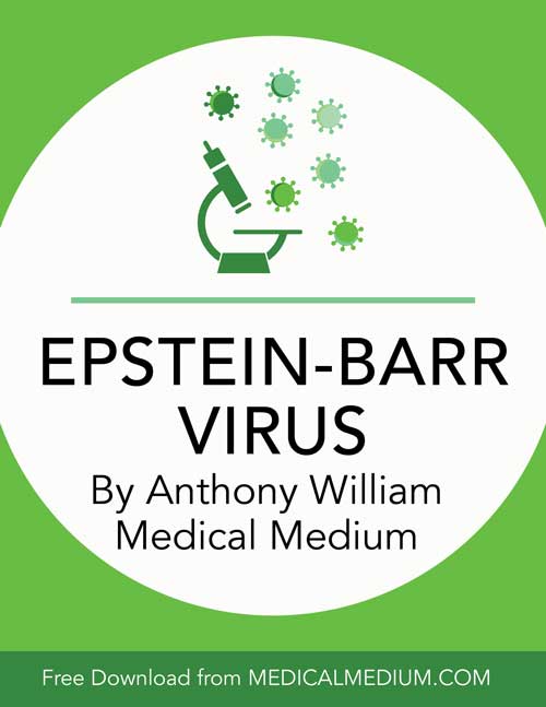 Epstien-Barr Virus