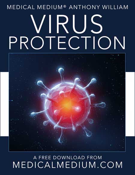 Virus Protection