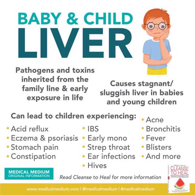 Baby & Child Liver