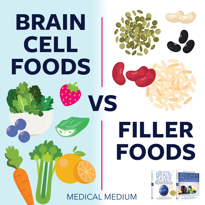 Brain Cell Foods Vs. Filler Foods