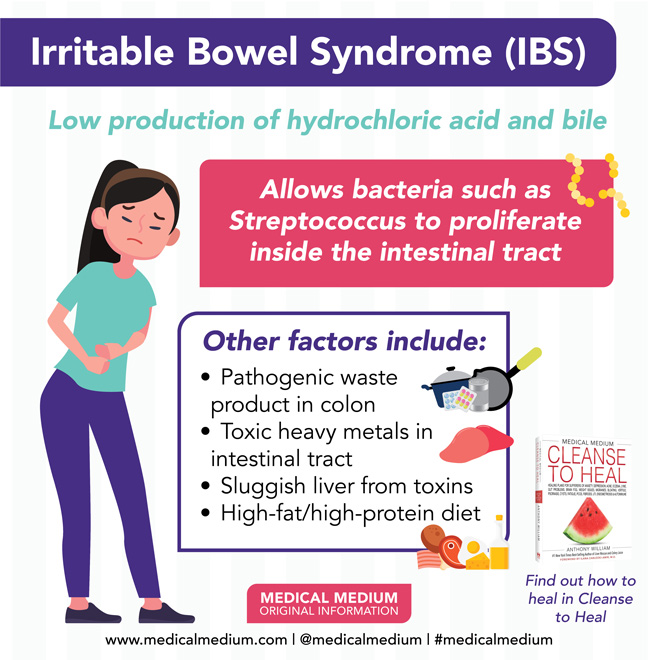 Irritable Bowel Syndrome IBS 