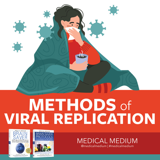 Methods of Viral Replication