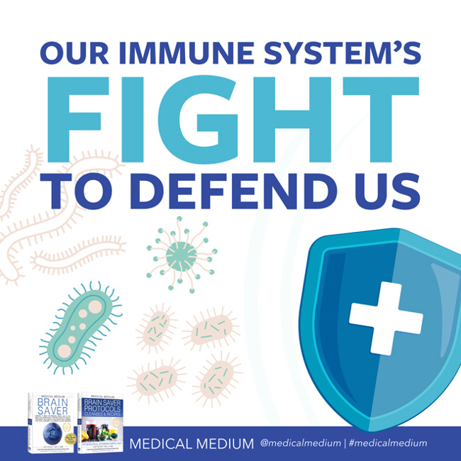 Our Immune System's Fight To Defend Us