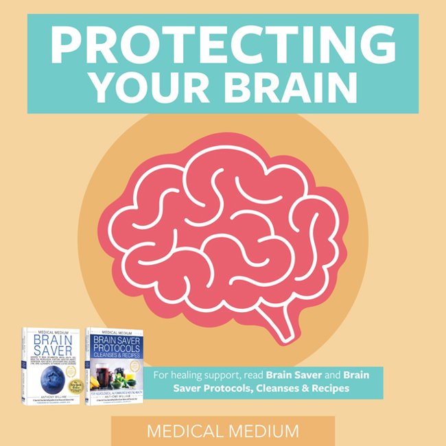 Protecting Your Brain