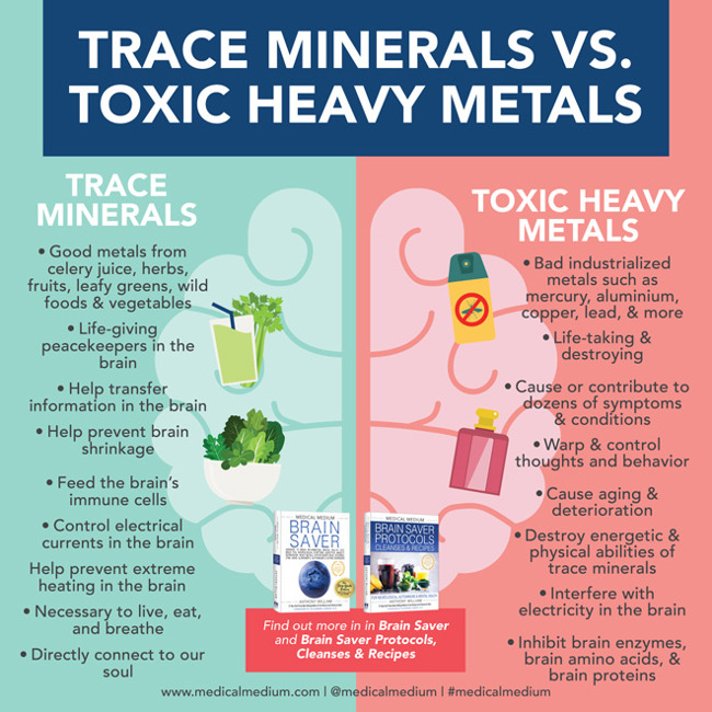 Trace Minerals Vs. Toxic Heavy Metals