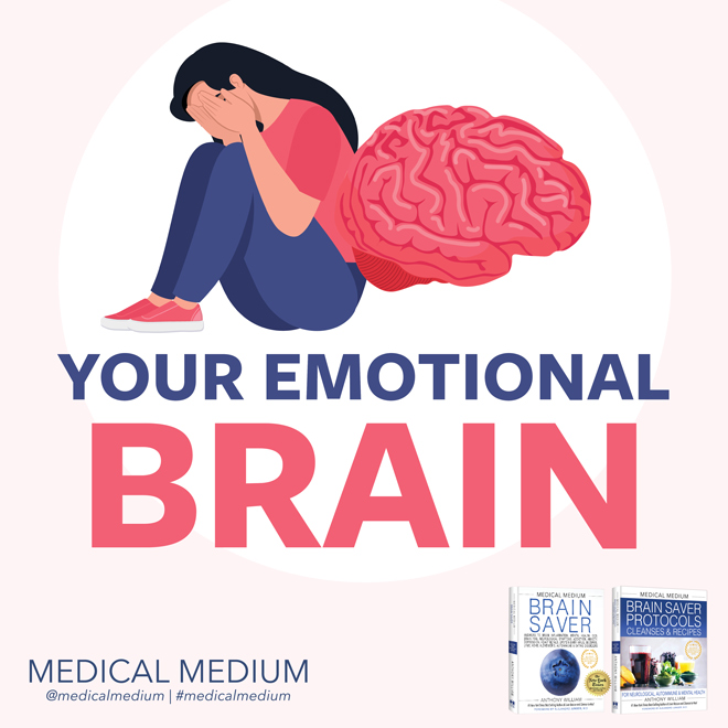 Your Emotional Brain