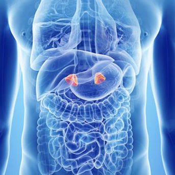 Adrenal Fatigue Epidemic