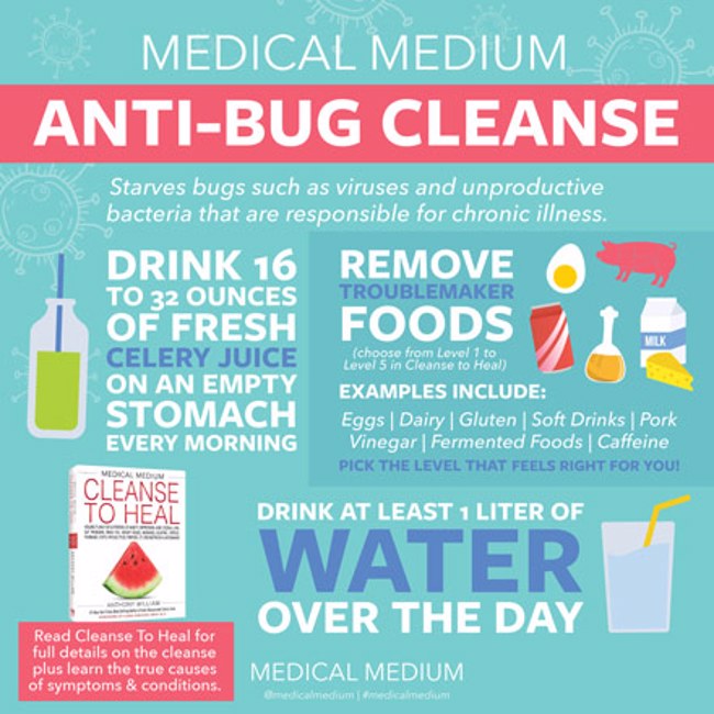 Medical Medium Anti-Bug Cleanse