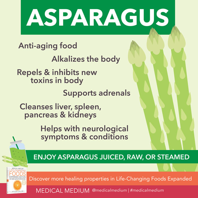 Asparagus: Anti-Aging Support