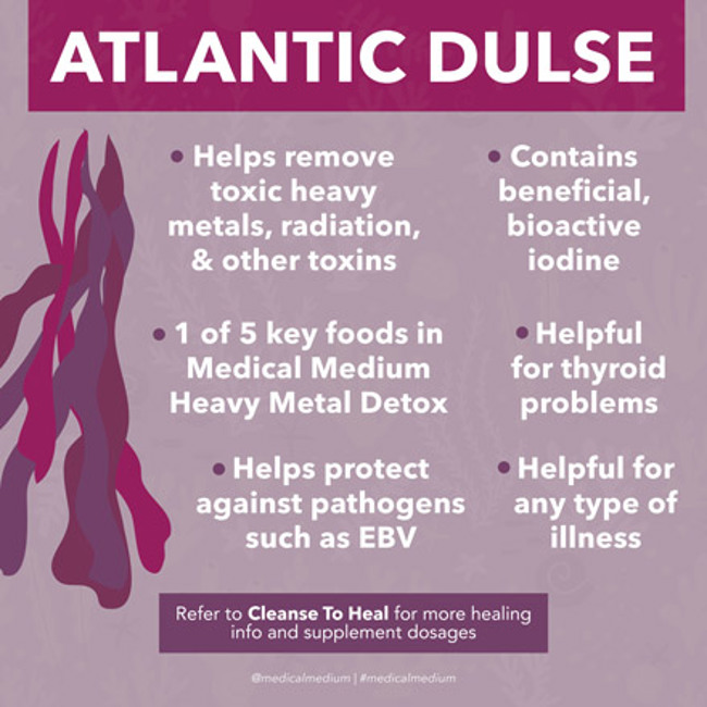 Atlantic Dulse: Heavy Metal & Radiation Remover