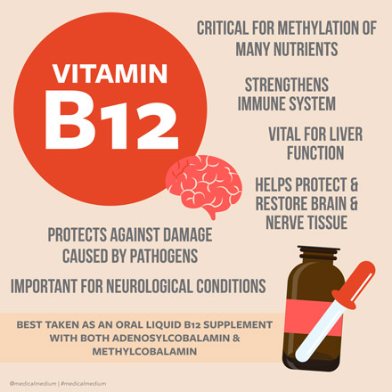 B12: Vital Nutrient