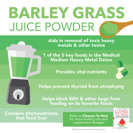 Barley Grass Juice Powder: Heavy Metal & Toxin Remover