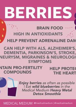 Berries: Brain Food