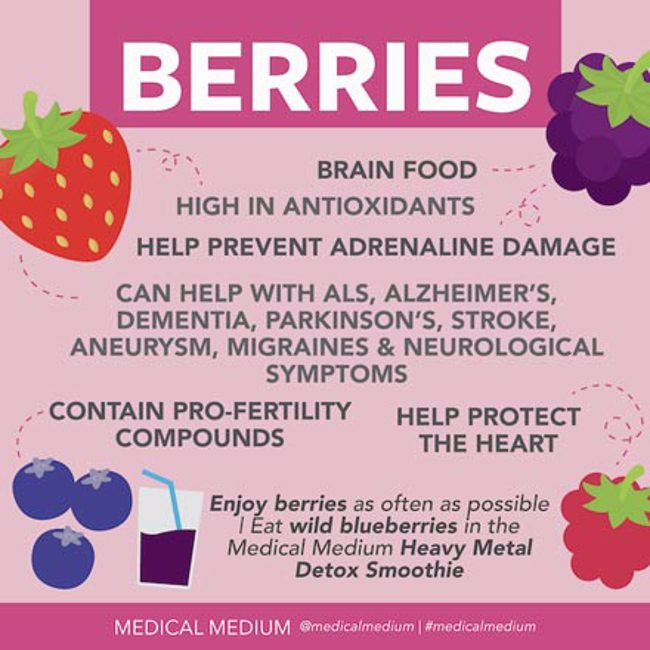 Medical Medium Healing Foods (Blog)