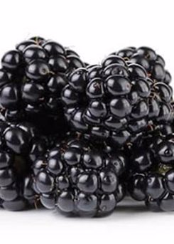 Blackberries