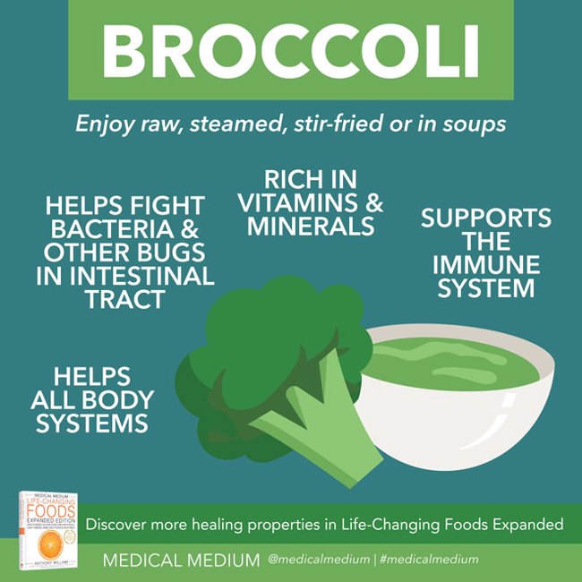 Broccoli: Nutrient All-Rounder