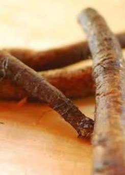 Burdock Root