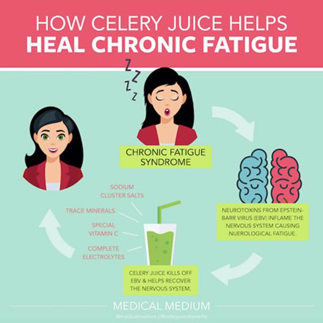 How Celery Juice Helps Chronic Fatigue Syndrome 