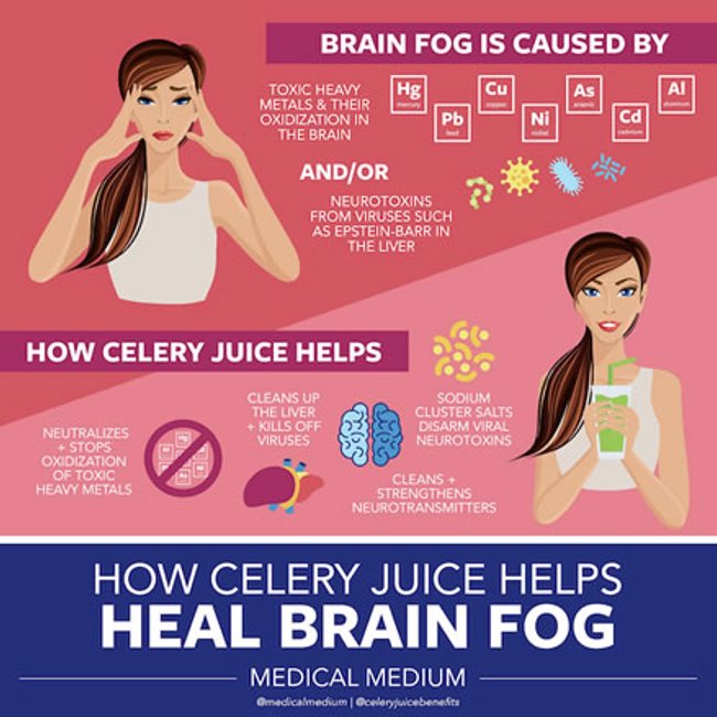 How Celery Juice Helps Heal Brain Fog