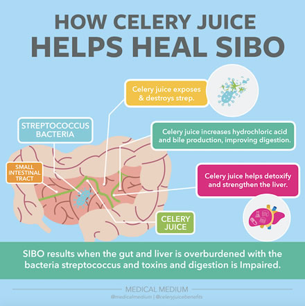 How Celery Juice Helps Heal SIBO