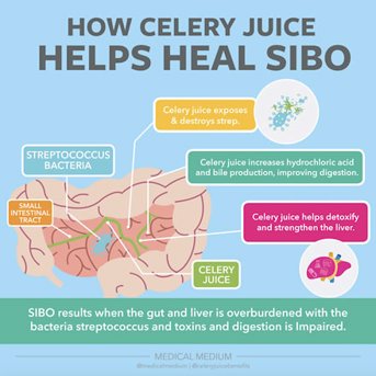 How Celery Juice Helps Heal SIBO
