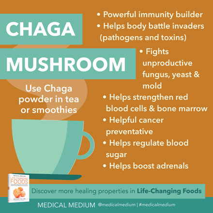 Chaga Mushroom Immune Builder