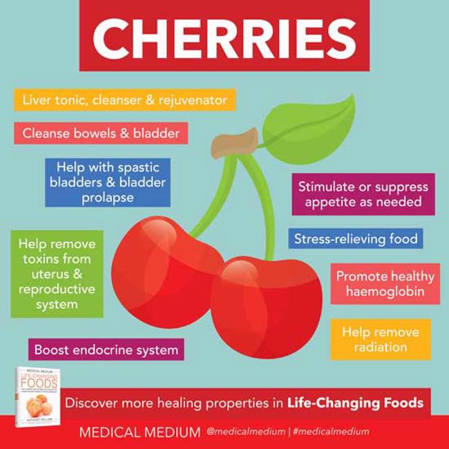 Medical Medium Healing Essentials