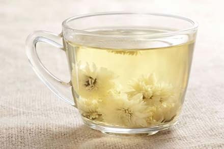 Chrysanthemum Tea