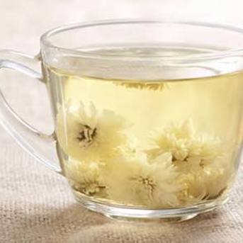 Chrysanthemum Tea
