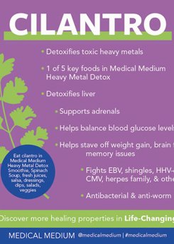 Cilantro - Life Changing Food