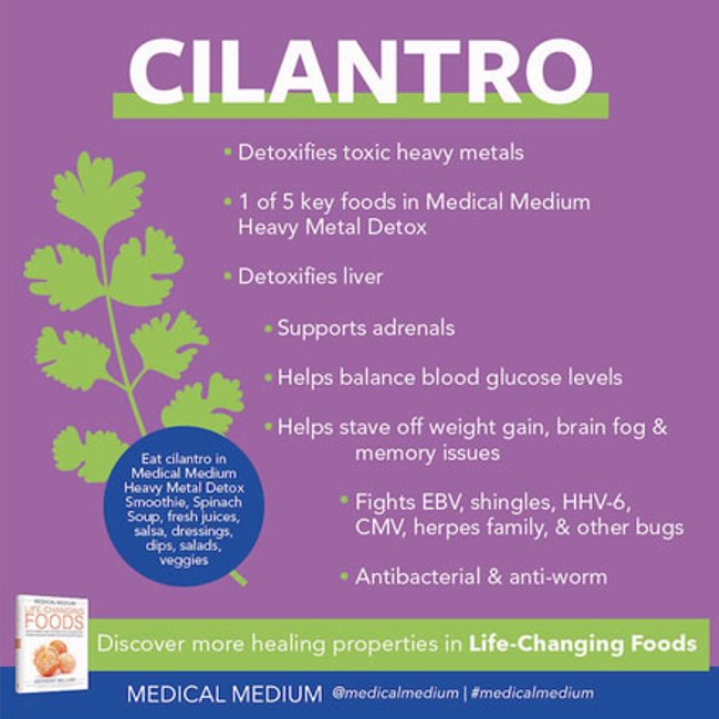 Cilantro - Life Changing Food