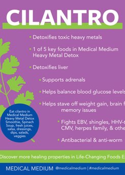Cilantro - Life Changing Food