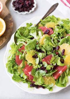 Citrus Salad 