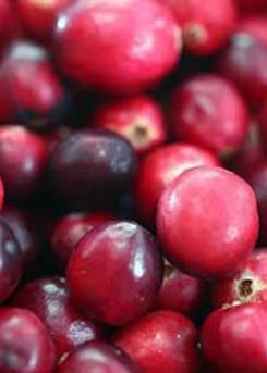 Cranberries 