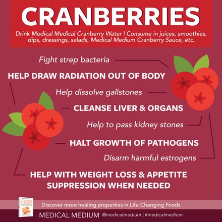 Healing Benefits of Cranberries