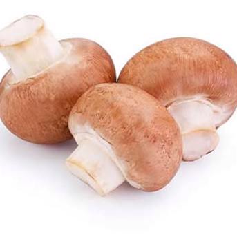 Crimini Mushrooms