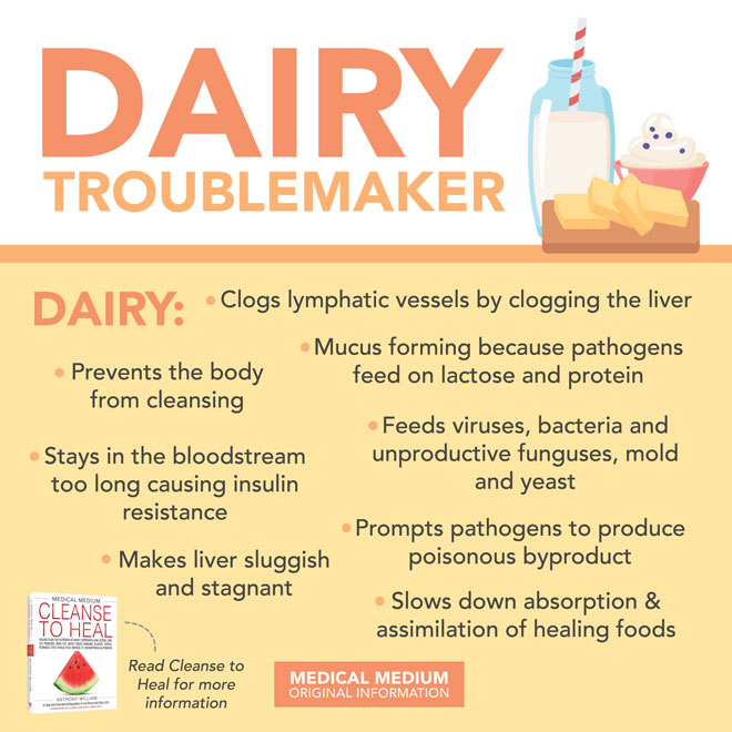 Dairy Troublemaker