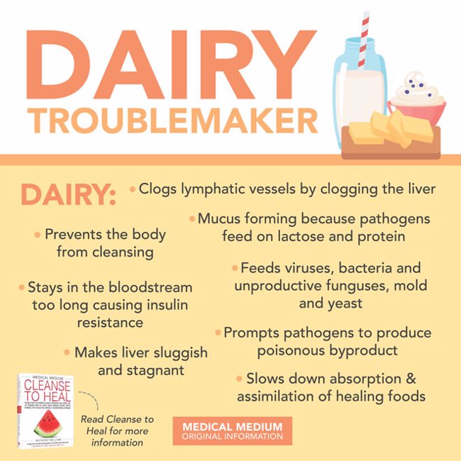 Dairy Troublemaker