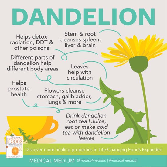 Dandelion: Powerful Cleanser