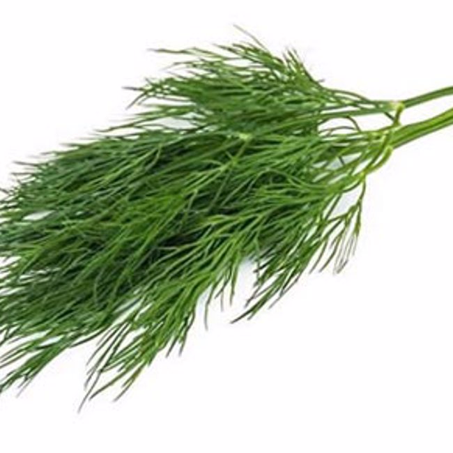 Dill