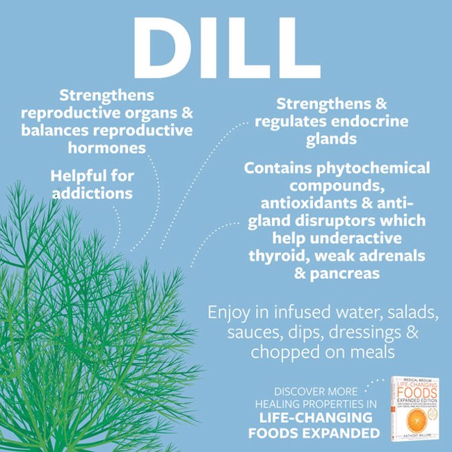 Dill