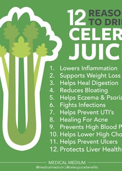 12 Reasons To Drink Celery Juice 